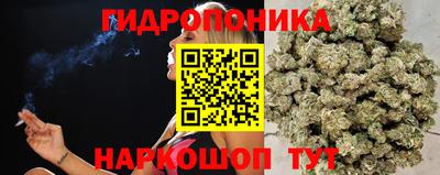 гидропоника Ставрополь